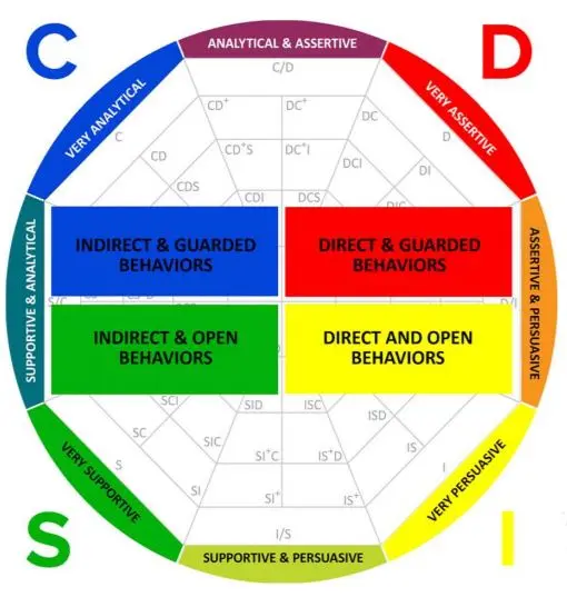 disc assessment